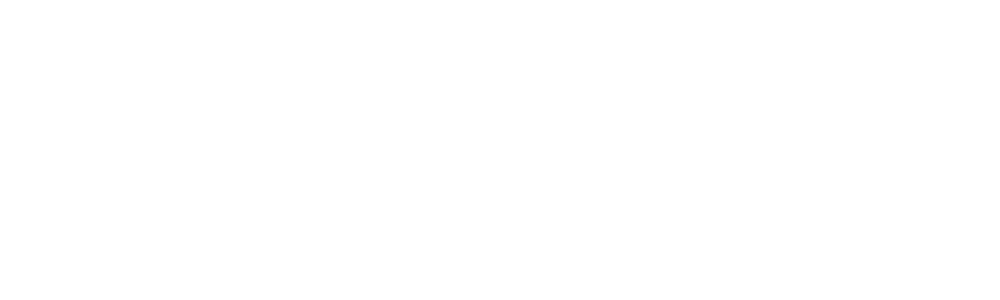 light logo